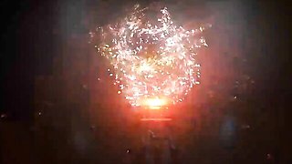 Watch luring bird's trailer