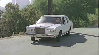 This Vintage Slut Takes a Nice Black Cock Under the Los Angeles Sky