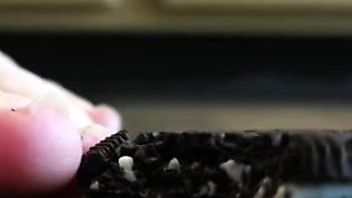 Jack The Speck - Tiny Slave Made To Cum By Giantess FemDom