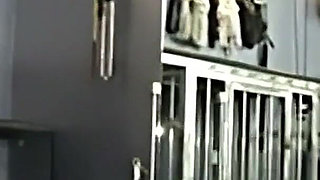 Super Mean Chastity Teasing Part 1