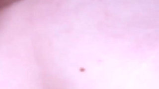 Roar - Can You Hear the Lion