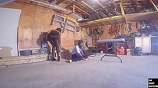 Letty Destroys The Toilet Slave
