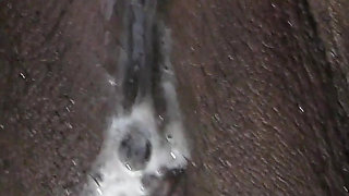 Petite ebony maid fucked and creampied in the kitchen