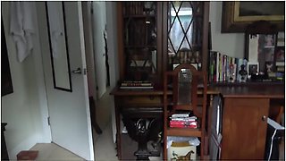 Ebony Stepmom Squirts On My Cock - Stepmom Comes First With Alex Adams And Naomi Foxxx