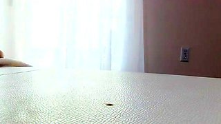 Brunette lesbian babes fingering on a couch