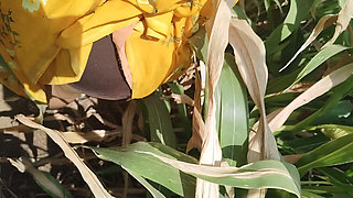 I fucked my sister in law in the corn field