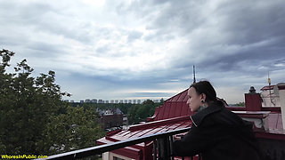 Small Ass Rough Stretched on a Terrace