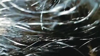 Latika sucking big black cock hard fuck
