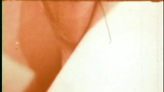 Blonde vintage hairy pussy big cock in mouth big cock in pussy