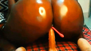 Oiled BBW Riding