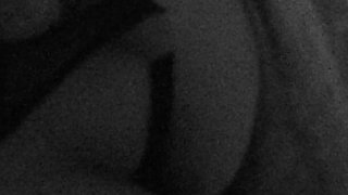 The Ass of My Latin Whore