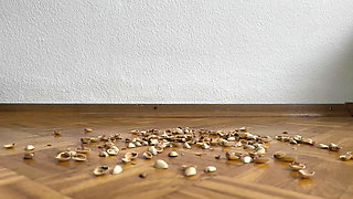 130kg Woman Walking on Pistachio Shells - Crunching Sounds
