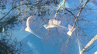 He's Watching Again Strangers Naughty Grin