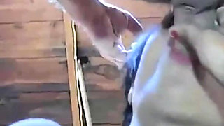 Lizeth Cum Slut Pussy Creampie - Blowjob and Pussy Fucked with Cum in Pussy