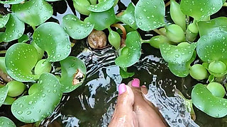 Chilling by the Water Lillies