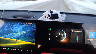 Winter Drive: Sex in the Car
