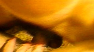 Amateur Close Up Hardcore Fucking