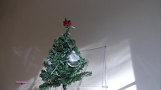 Xmas Pee Compilation