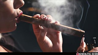 Hd trailer with inveigling Shalina Devine and Kristof Cale from Smoking Hawt