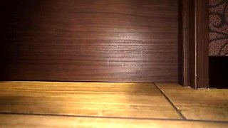 Great close up in japanese teen blowjob pov