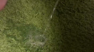 I Piss on His Carpet