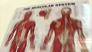 18 Year Old Teen 18+ Blonde Sucks 2 Cocks And Swallows Cum With Johnny Fender And Arnold Schwartzenpecker