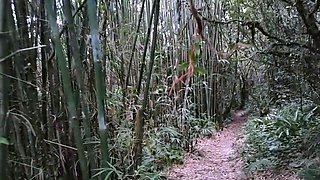 Public Forest Walk, Masturbating and Naked on Webcam