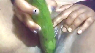 Today, Indian Bhabhi Quenched Her Desire by Inserting a Cucumber Into Her Pussy