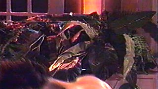 Spicy brunette amateur drilled hardcore on camera