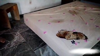 Mexican hotwife slut anal service