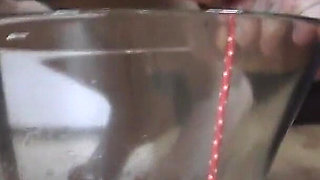 Drink our piss out of the bowl - with a straw!