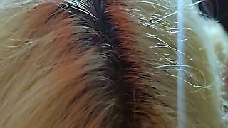 German Curvy Blonde Girl Give Risky POV Blowjob and Cowgirl