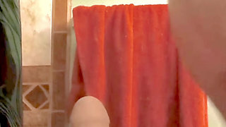 Dildo on the Toilet