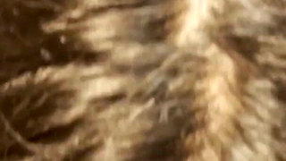 Lesbian Blowjob