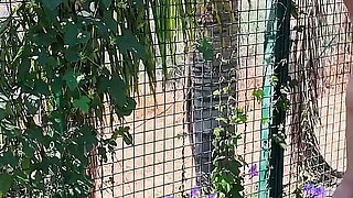 Mature Swingers Outdoor Tennis Court Reverse Gangbang