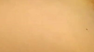 Boy Fucks Collage Girl After College