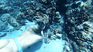 Big Ass Beauty Kayci Kaylani Nude Underwater Diving and Masturbation