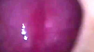 My Hairy Hole Inseminated on Vacation