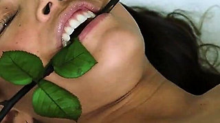 Job Sollicitation for Mia Nins