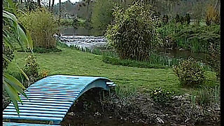 Hot Maid Sucking Cock in Passionate Oral Frenzy