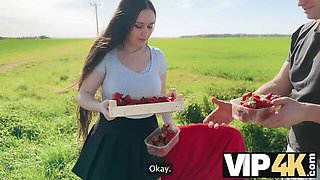 Busty Wendy Marvell gets picked up and fucked in the ass out in a green field