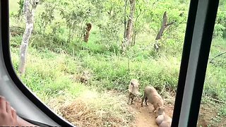 Horny Ebony Girlfriend Deep Throats Cock