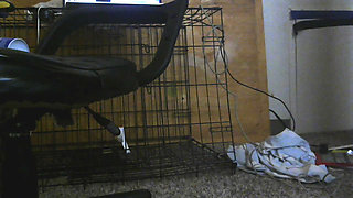 Take for some dick in this ass!