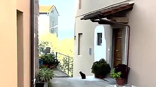 Today I Want to Take You to a Very Special Place I Found for My Morning Meditation/masturbation Session!