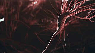 Parasited - Together Forever Act II