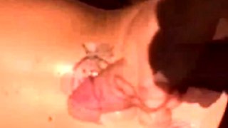 Brandon s Wild Outdoor Adventure