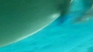 I Touch Myself in the Public Swimming Pool in Thailand - Risky Sex French