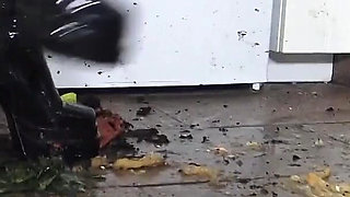 Merciless in a Frenzy of Destruction!