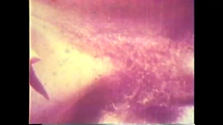 Prisoners with the Ball at Their Feet