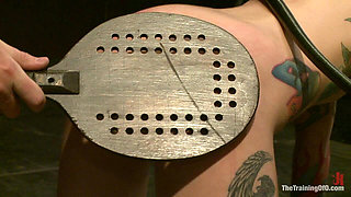 Final Exam-blue and Red